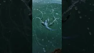 Thumbnail: هل يمكن اصطياد سمكة بحجر فقط ؟ 🐟🪨