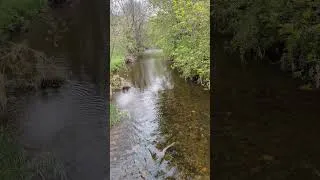 Thumbnail: nature break