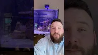 Thumbnail: LETS TALK #SALT @Redseafish  offer the absolute BEST salt options for your reef aquariums!