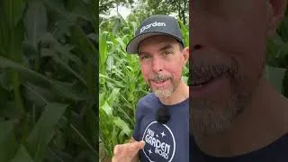 Thumbnail: Saving Seeds For A Resilient Garden