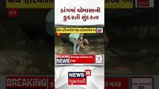 Thumbnail: Dang Monsoon News | ડાંગમાં ચોમાસાની કુદરતી સુંદરતા | Rain Update | Shorts | Gujarati News