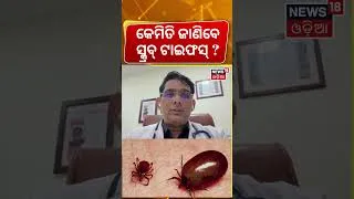 Thumbnail: କେମିତି ଜାଣିବେ ସ୍କ୍ରବ୍ ଟାଇଫସ୍ ? Scrub Typhus Outbreak in Angul | Shocking News । Odia News