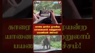 Thumbnail: காரை தாக்க முயன்ற யானையால் சுற்றுலாப் பயணிகள் அச்சம்! NEWS7 TAMIL