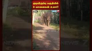 Thumbnail: குடியிருப்பு பகுதியில் 3 யானைகள் உலா!! NEWS7 TAMIL
