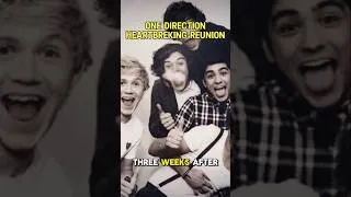 Thumbnail: One Direction Heartbreking Reunion