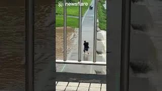 Thumbnail: Man Rescues Dog From Huge Flood