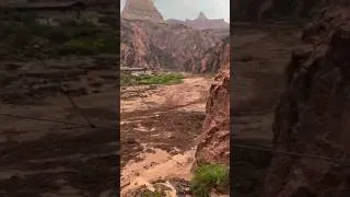 Thumbnail: Grand Canyon Turns DEADLY! 14 Hikers Missing #grandcanyon