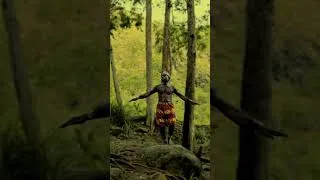 Thumbnail: The Island Where Humans Are Forbidden | The Mystery of North Sentinel Island