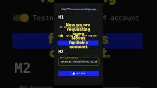 Thumbnail: Movement M2 Devnet Faucet Funding with Sui Wallet