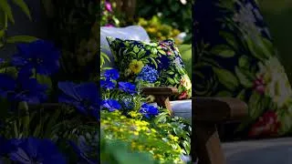 Thumbnail: Tiny Garden Transformation  #gardeninspiration #tropicalgarden #moderngarden #landscapedesign