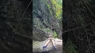 Thumbnail: A girl transported to another world and lost in the forest.