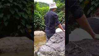 Thumbnail: The girl and the boy went crabbing in the forest by a small stream.