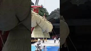 Thumbnail: Izumo Taisha's giant rope replaced after 8 yearsーNHK WORLD-JAPAN NEWS #shorts
