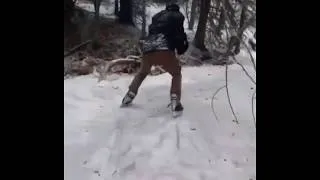 Thumbnail: Silky Mitts in the Forest