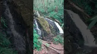 Thumbnail: Hidden Gem Alert 🚨 Meigs Creek Cascades Smoky Mountains 🌲 #travel