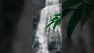 Thumbnail: Discover Mingo Falls in Cherokee, North Carolina 💚 #travel