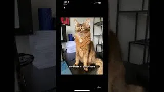 Thumbnail: Cheap/Free Travel & Housesitting  Opportunities