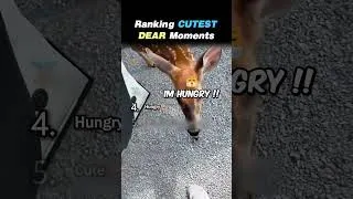 Thumbnail: Ranking CUTEST BABY GOAT MOMENTS Core Moments!! 🐐