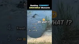 Thumbnail: Ranking LIVING IN FLORIDA MOMENTS Core Moments!! 🐊