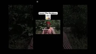 Thumbnail: Shocking!!😳🙆‍♀️ Yemisi The Stubborn Ant 🐜 #nigerianmoviesplus