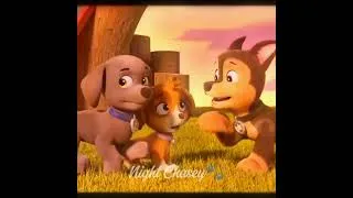 Thumbnail: Do you remember?🥹💙🩷 #pawpatrol #skase #fyp #shorts