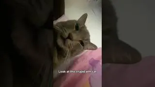 Thumbnail: Meet my son, Pepe ❤️ #fyp #cat #catsoftiktok #silly