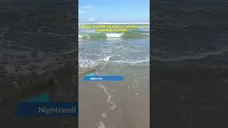 Thumbnail: Would you prefer the sound of the ocean 🌊 or the sound of the river 🍃? #oceanwaves #peacefulwaves