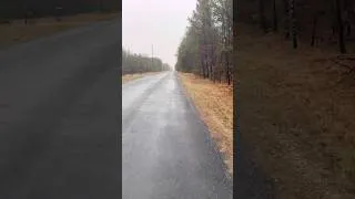 Thumbnail: Running in the country just hits different 😍🌧️
