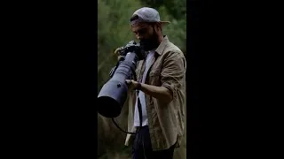Thumbnail: Mountain Gorillas Through the NIKKOR Z 600mm f/4