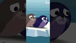 Thumbnail: Can Seals Outsmart a Hungry Polar Bear and ORCA?