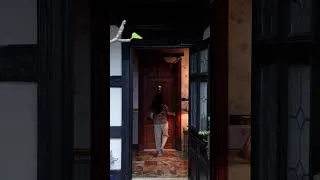 Thumbnail: Stay in Old England Manor in Taiwan