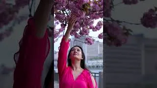 Thumbnail: Why The Sony A7IV Is The Perfect Hybrid Camera For Creators