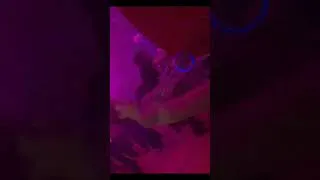 Thumbnail: Party Time at DeeFest 🤟🤟#party #kayak #sports #night