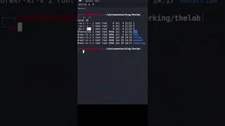 Thumbnail: Linux Permissions in 60 Seconds!