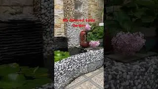 Thumbnail: My Beloved Little Garden 🪴❤️