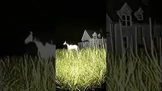 Thumbnail: Liminal Space Alone