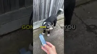 Thumbnail: How to deal with vapes