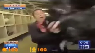 Thumbnail: Donut Eater [Half-Life SFX]