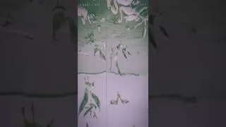 Thumbnail: Signal Field - Test