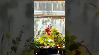 Thumbnail: Slow travel relaxation