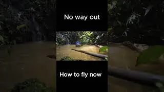 Thumbnail: Bee Attack – I Had to Jump