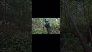 Thumbnail: Keeping the Most Dangerous Hornet on Earth