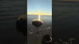 Thumbnail: Morning Sound Capture at Jekyll Island, GA #asmr