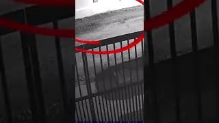 Thumbnail: tertangkap cctv 😱 #shorts #horror #penampakan