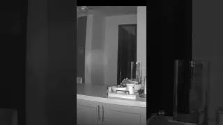 Thumbnail: banyangan putih tertangkap kamera #shorts #horror #cctv #hantu