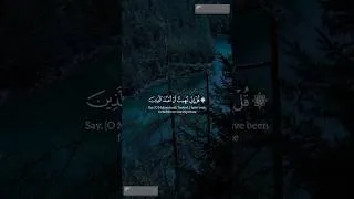 Thumbnail: Quran Tilawat ❤#allah #quran #tilawat #islamicvideo #muslim #trending