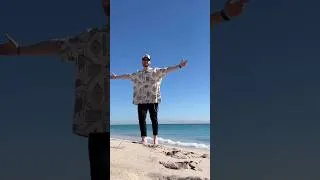 Thumbnail: Nordic Scott // Easy Creative Travel Video alone? #shorts #photography