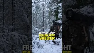Thumbnail: Freezing Night | Fallen Tree Shelter #survival #camping #bushcraft  #outdoors