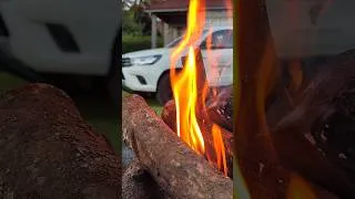Thumbnail: Rhythm Of The Lowveld 👣                        #homelands #travelvlog #mpumalanga