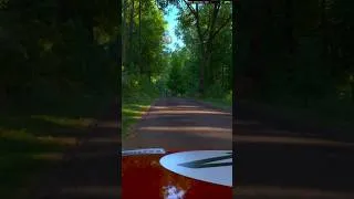 Thumbnail: Assetto Corsa Rally is BREATHTAKING  🚘